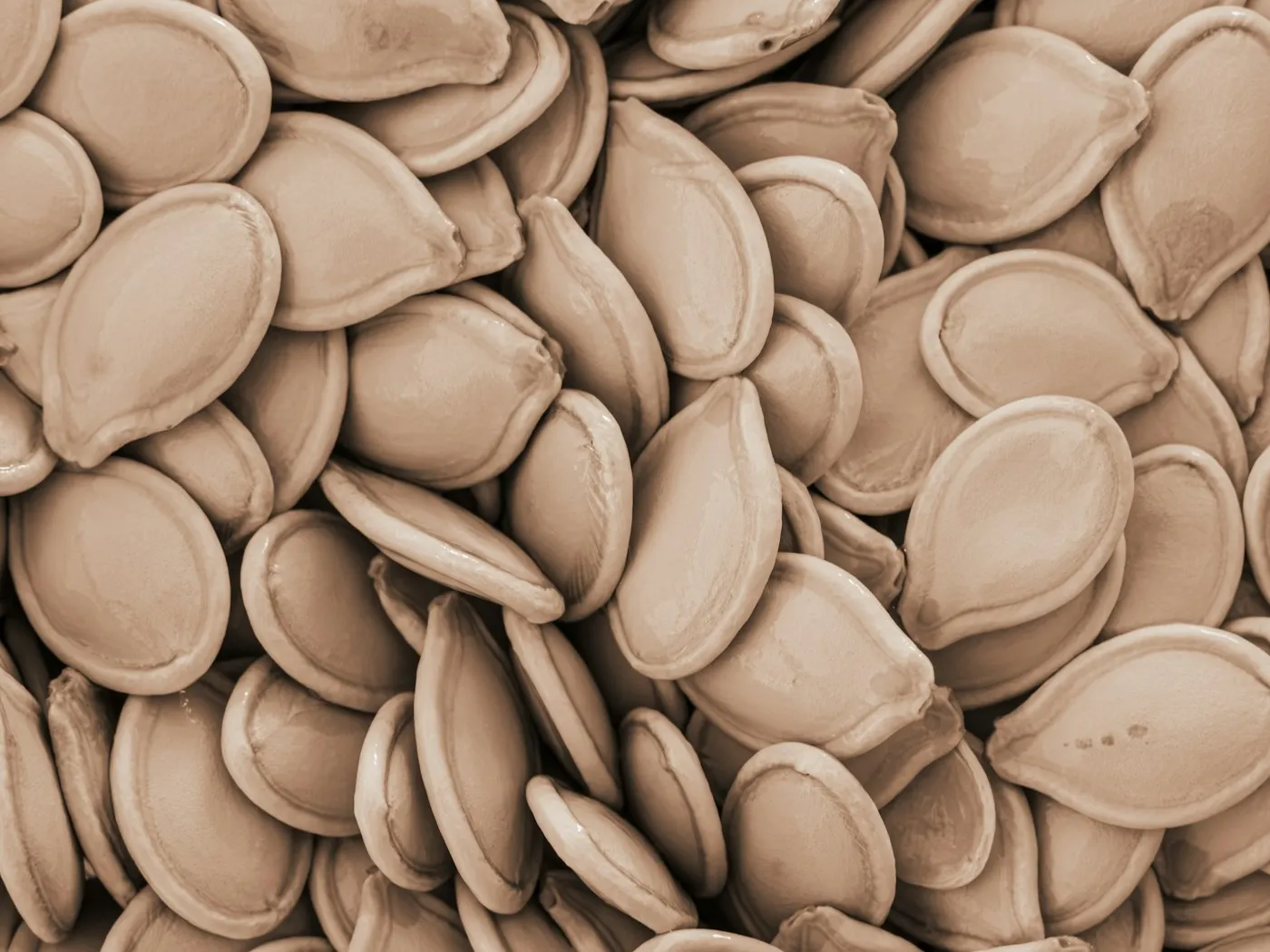 Semillas de calabaza